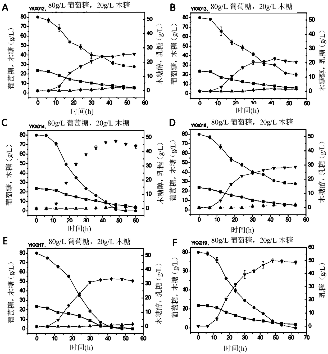 Construction and pplication of thermostable yeast engineering strain for L-lactic acid production