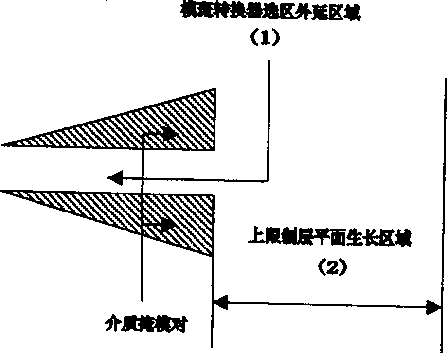 Optoelectronic device and selection district epitaxial method of autocollimation model spot inverter integration