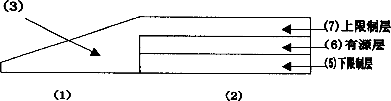 Optoelectronic device and selection district epitaxial method of autocollimation model spot inverter integration