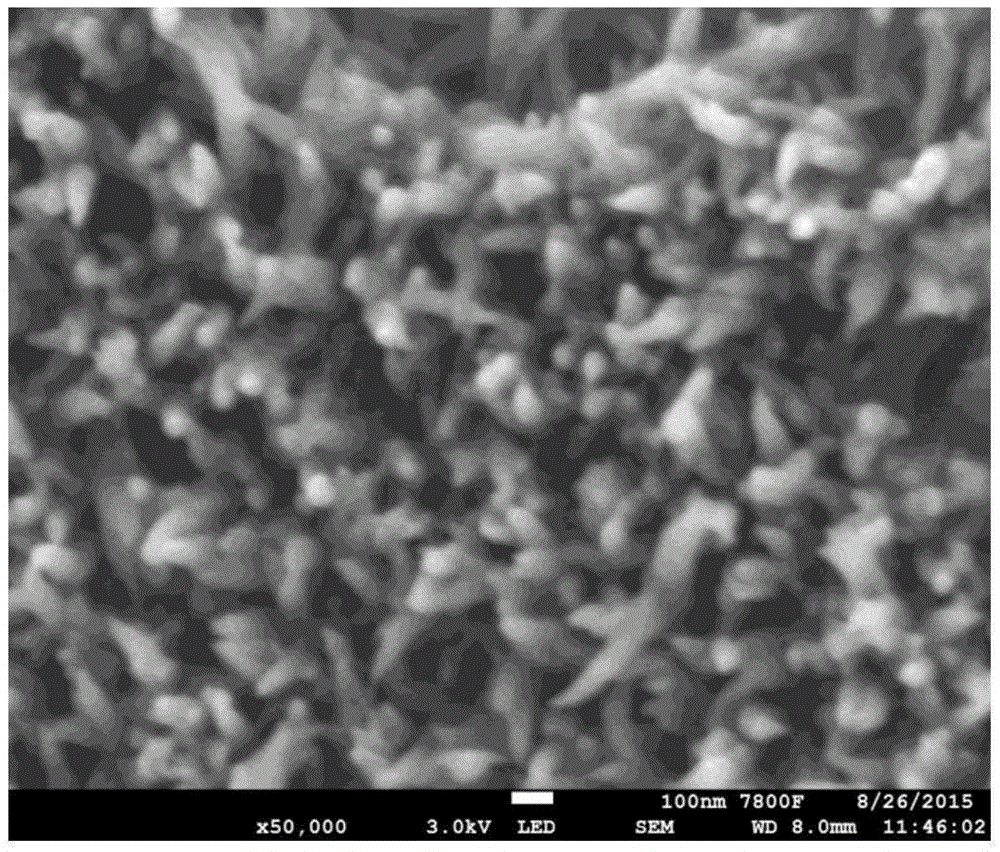 Ordered membrane electrode and preparation and application thereof