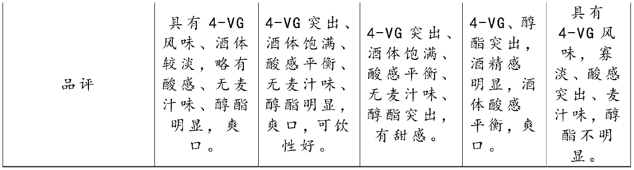 0.0 %vol alcohol-free white beer and preparation method thereof