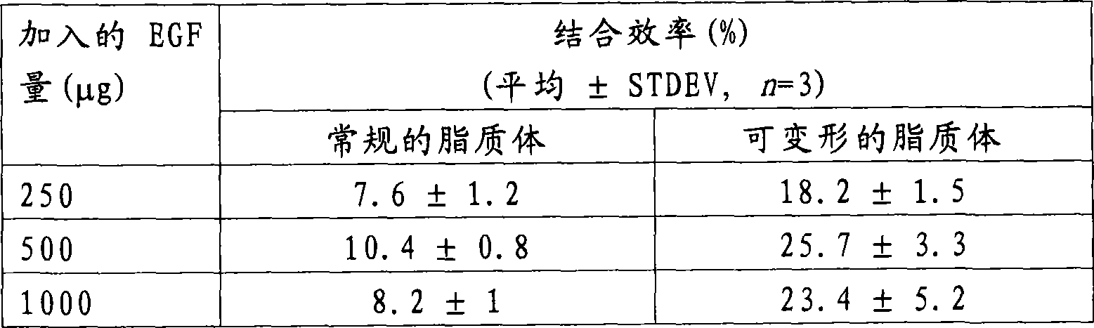 Use of a topical composition containing epidermal growth factor (EGF) for diabetic foot amputation prevention