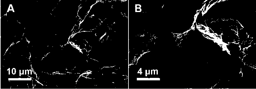 Molybdenum sulfide/graphene/carbon nanofiber composite material and preparation method thereof