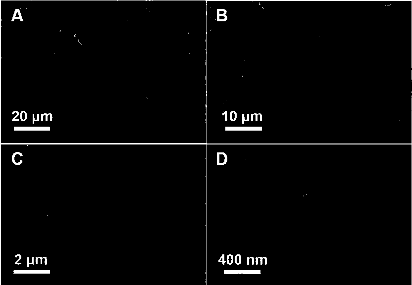 Molybdenum sulfide/graphene/carbon nanofiber composite material and preparation method thereof