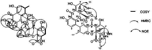 Secalonic acid L derived from Penicillium oxalicum and application in inhibiting human cancer cell proliferation