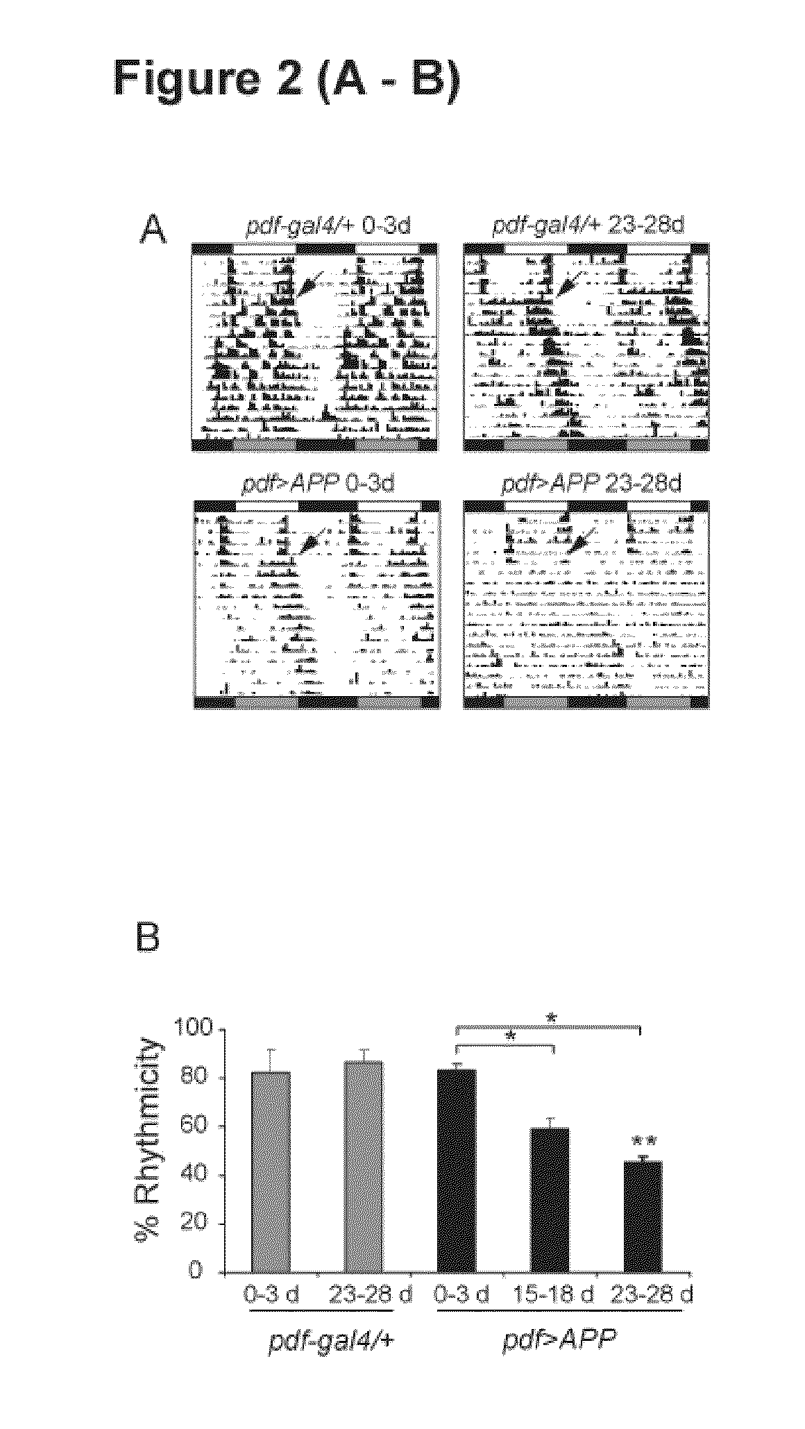 Method for the identification of genes involved in neurodegenerative processes