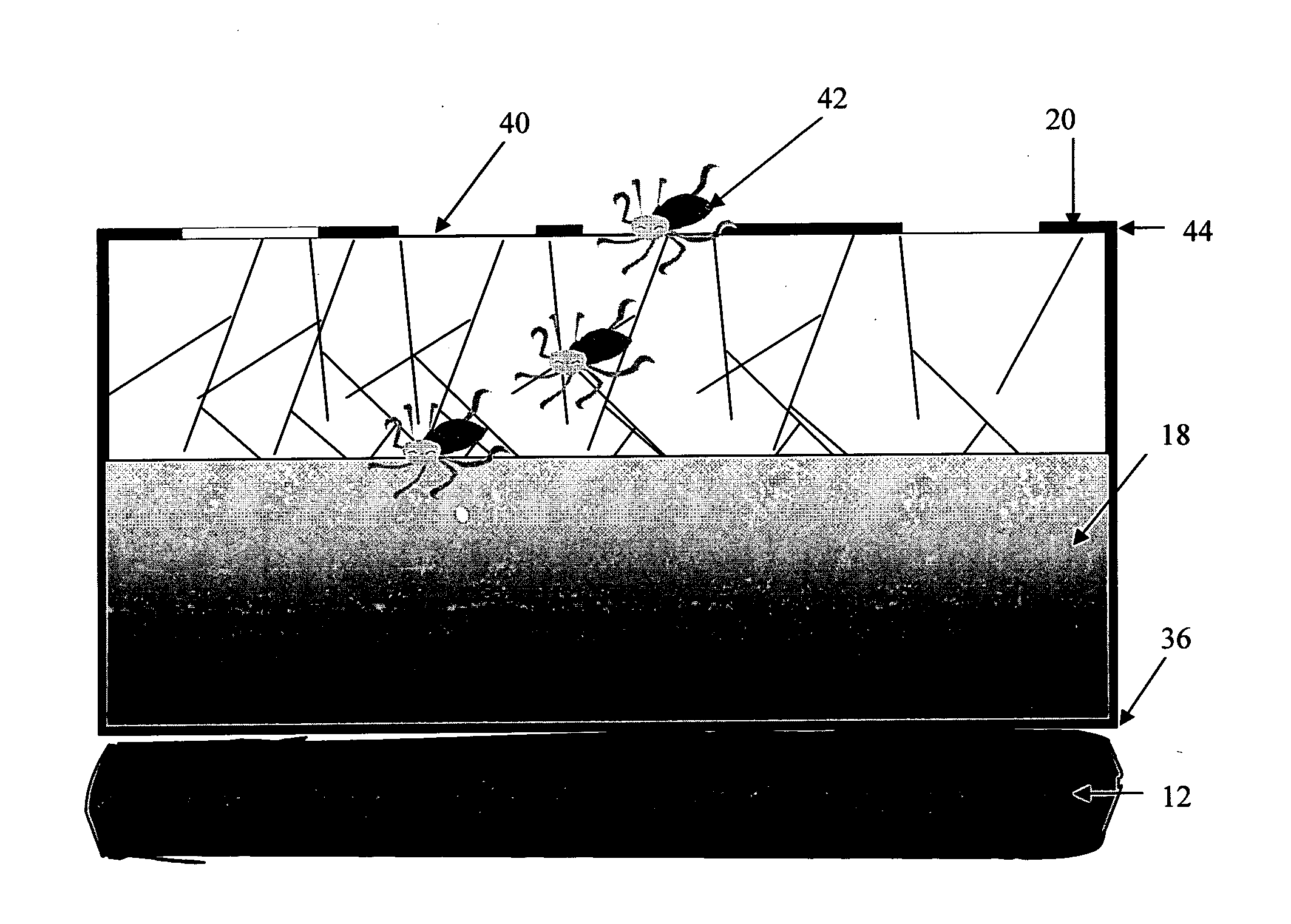 Insect trap