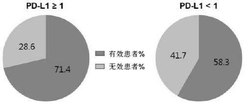 Application of CXCL13 detection agent in preparation of kit for predicting immunotherapy effect