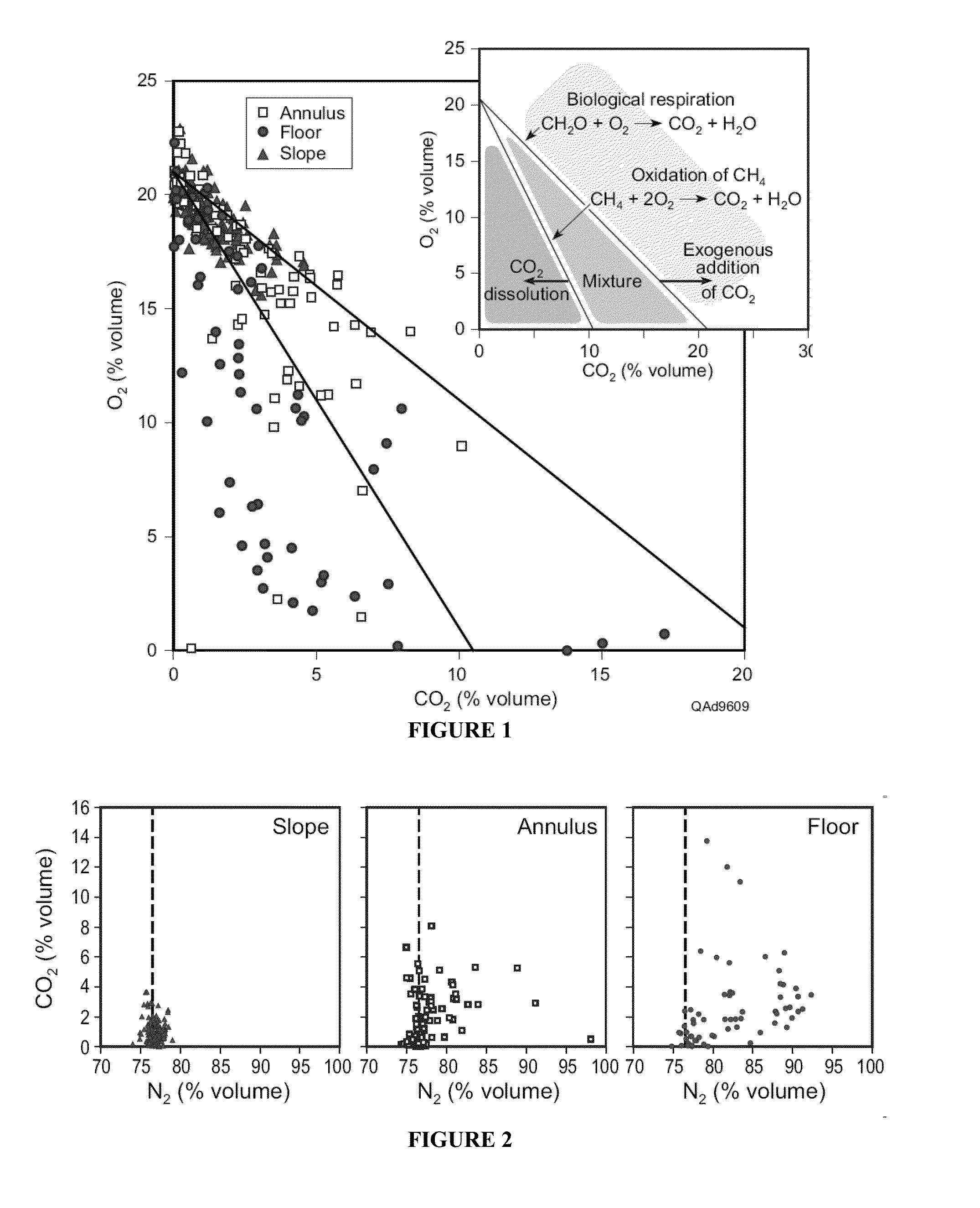 Process-based approach for the detection of co2 injectate leakage