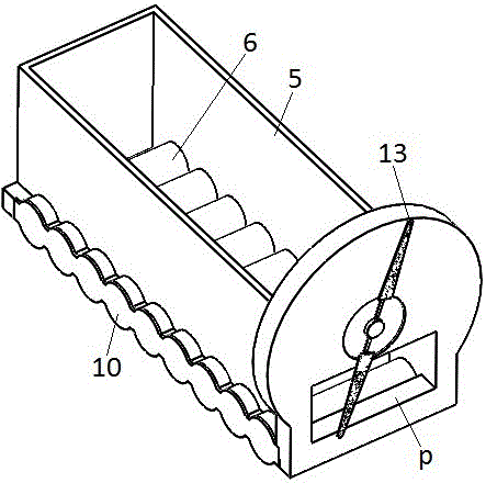 Konjak dicing and sorting assembly line equipment