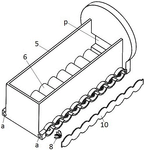 Konjak dicing and sorting assembly line equipment