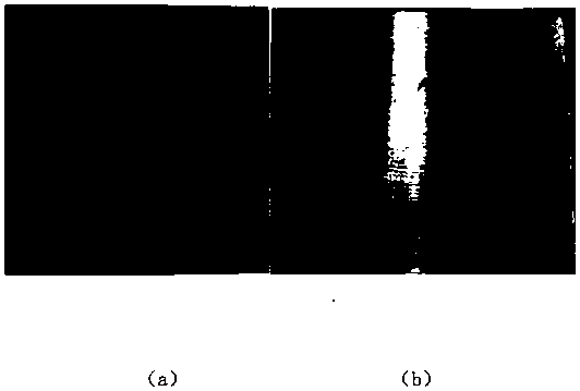 Thermal imaging detection method based on row-column variable-step segmentation and region growing method