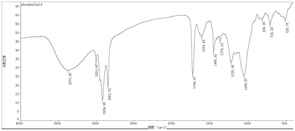 Preparation method of silibinin-polyene phosphatidylcholine compound