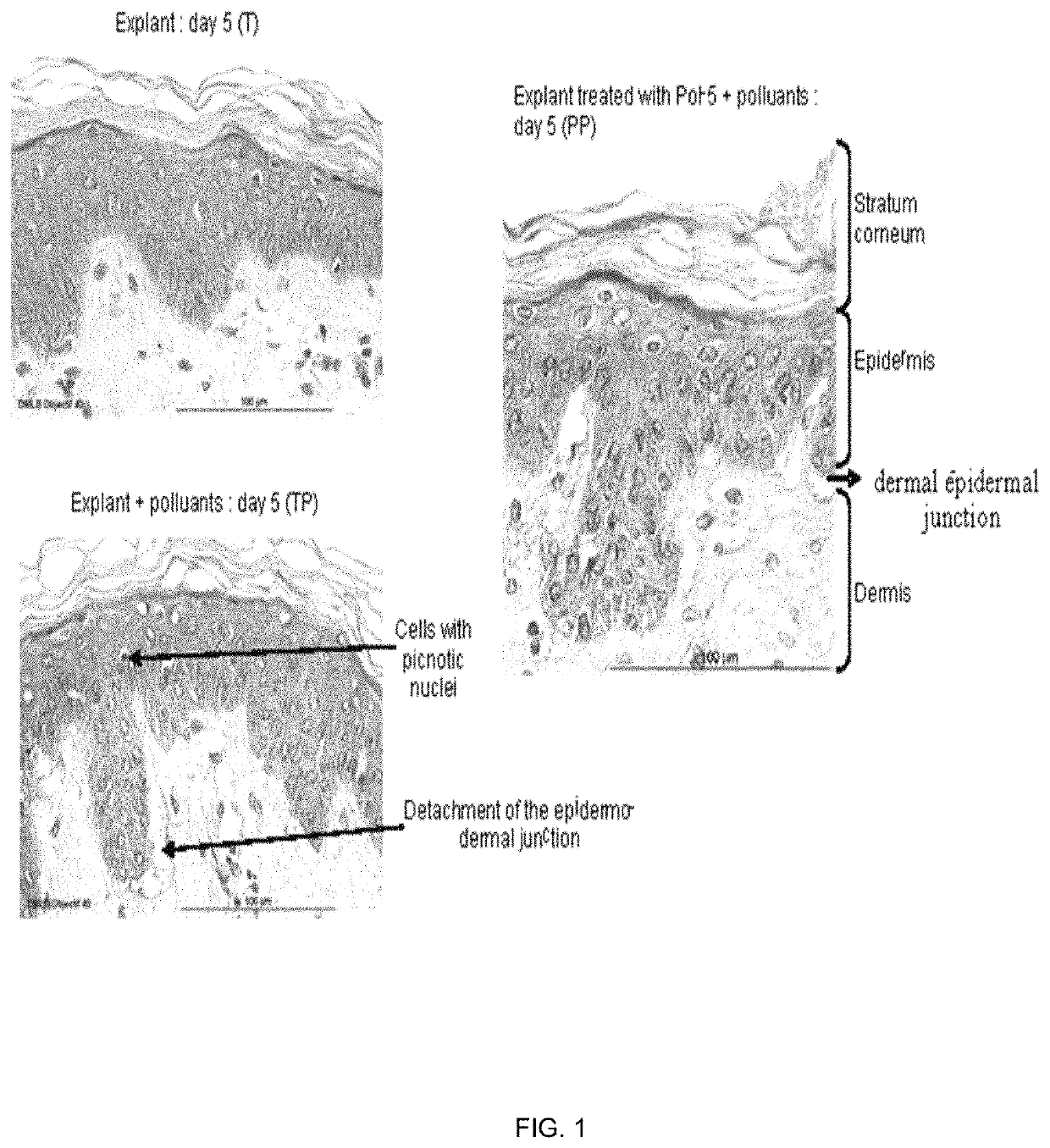 Cosmetic compositions comprising exopolysaccharides derived from microbial mats, and methods of use thereof