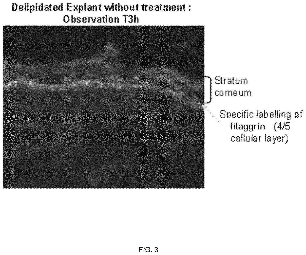 Cosmetic compositions comprising exopolysaccharides derived from microbial mats, and methods of use thereof