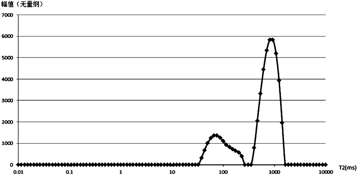 A magnetic resonance device and detection method for measuring oil pollution in water bodies