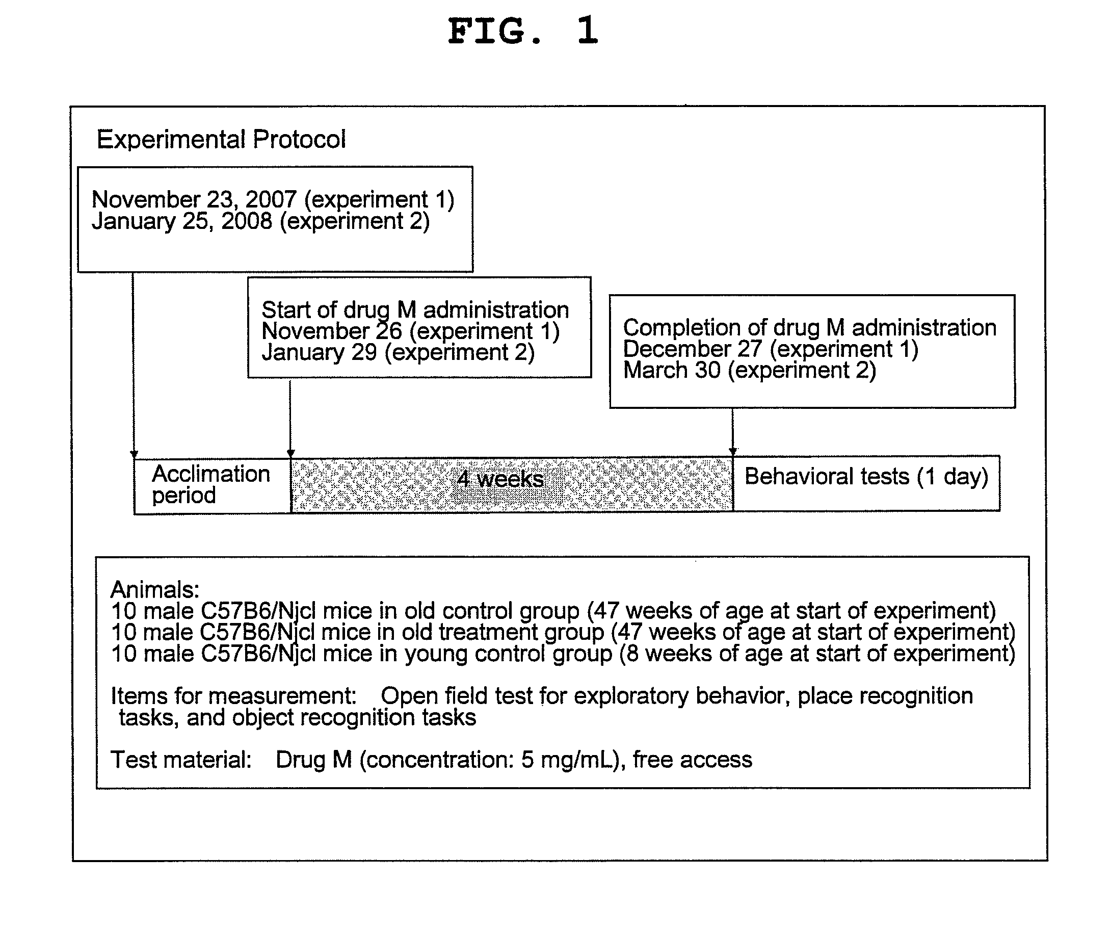 Agent for ameliorating brain hypofunction