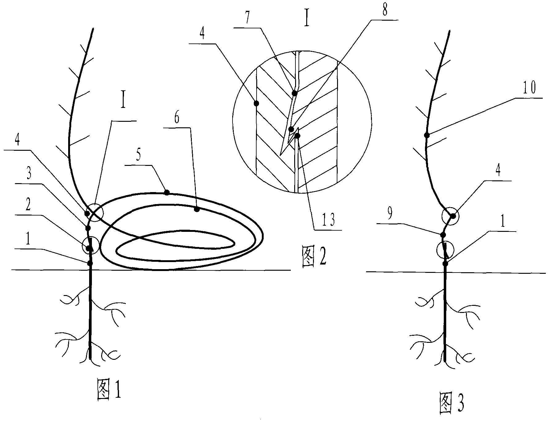 Multiple-grafting successive cultivation method