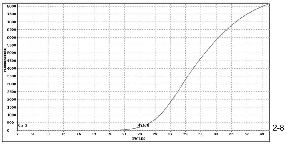 Dual fluorescence freeze-dried microchip, kit and method for detecting novel coronavirus 2019-ncov