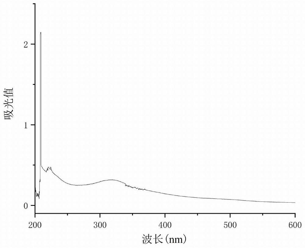 Boletus melanin hair dye as well as preparation method and use method thereof