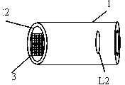 LD (Laser Diode) laser phase mixing device and method