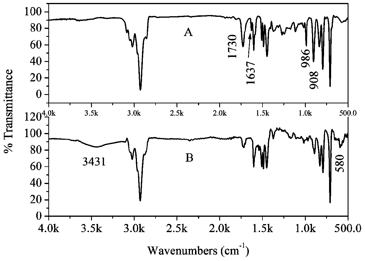 Hydrophilic magnetic resin with high specific surface area and preparation method thereof and method for rapidly extracting phthalic acid ester in water body