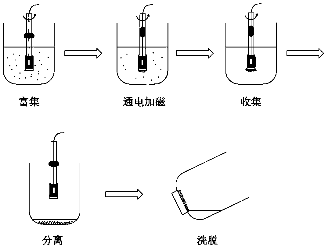 Hydrophilic magnetic resin with high specific surface area and preparation method thereof and method for rapidly extracting phthalic acid ester in water body