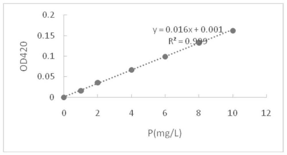 Screening and identifying method of phosphorus-solubilizing strain and application of phosphorus-solubilizing strain in biological fertilizer