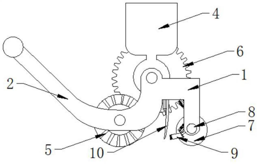 Asparagus planting soil loosening device