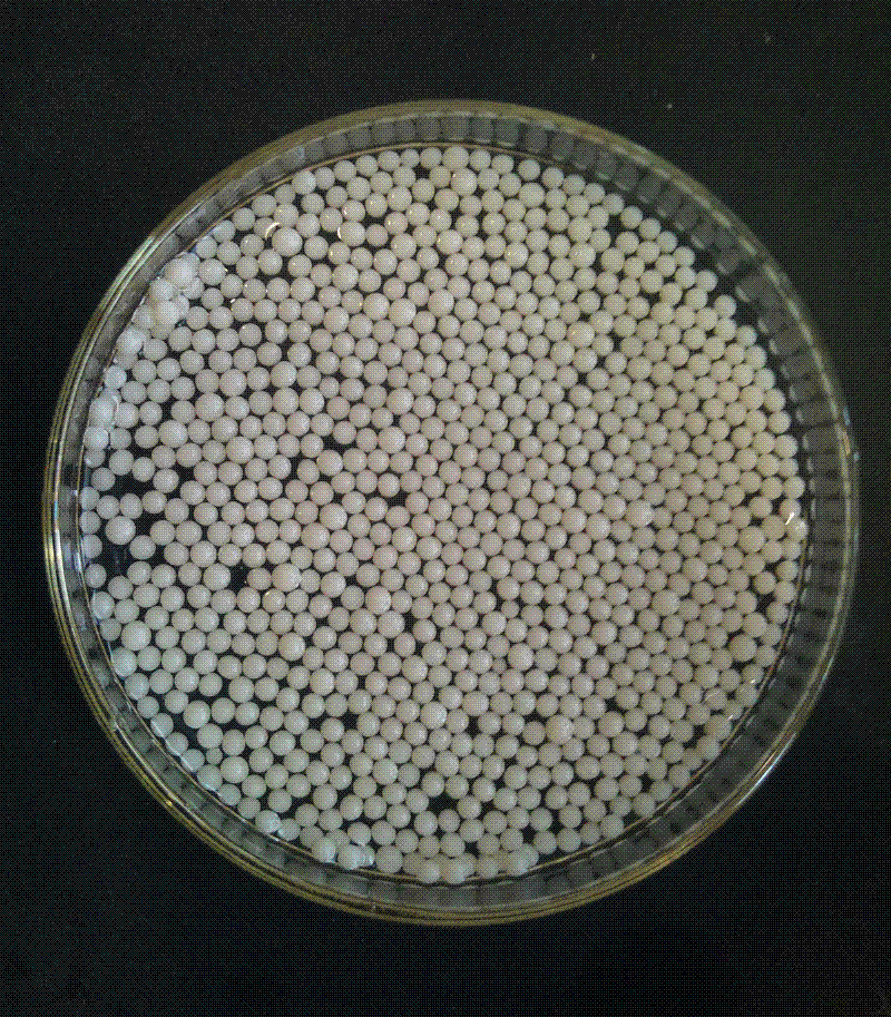 Alginate/halloysite nanotube composite-porous ball and preparation method therefor