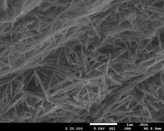 Alginate/halloysite nanotube composite-porous ball and preparation method therefor