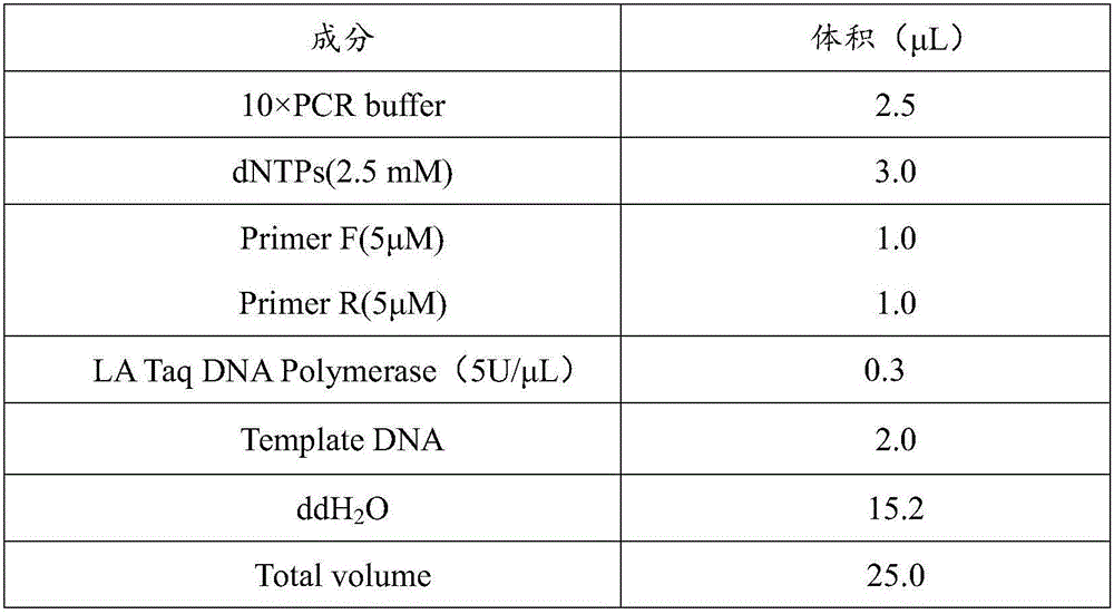 Primer, kit and method for detecting genetic mutation related to myeloproliferative neoplasms MPN