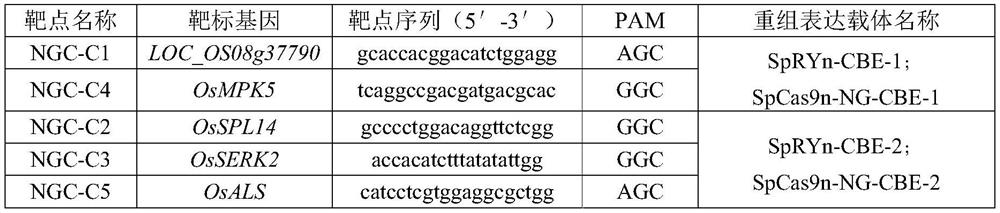 Method for mutating base C into base T in plant genome