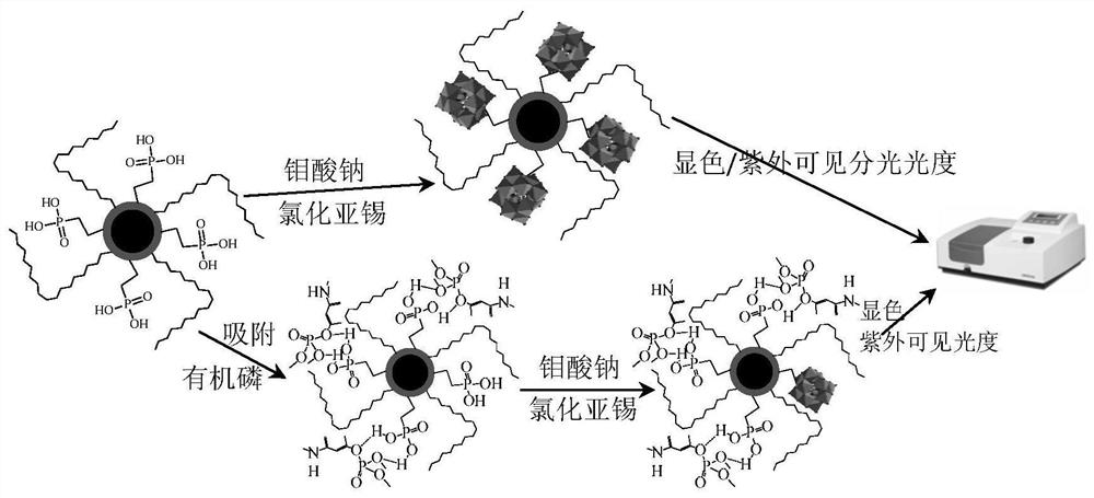 A kind of molecularly imprinted microsphere and its application method