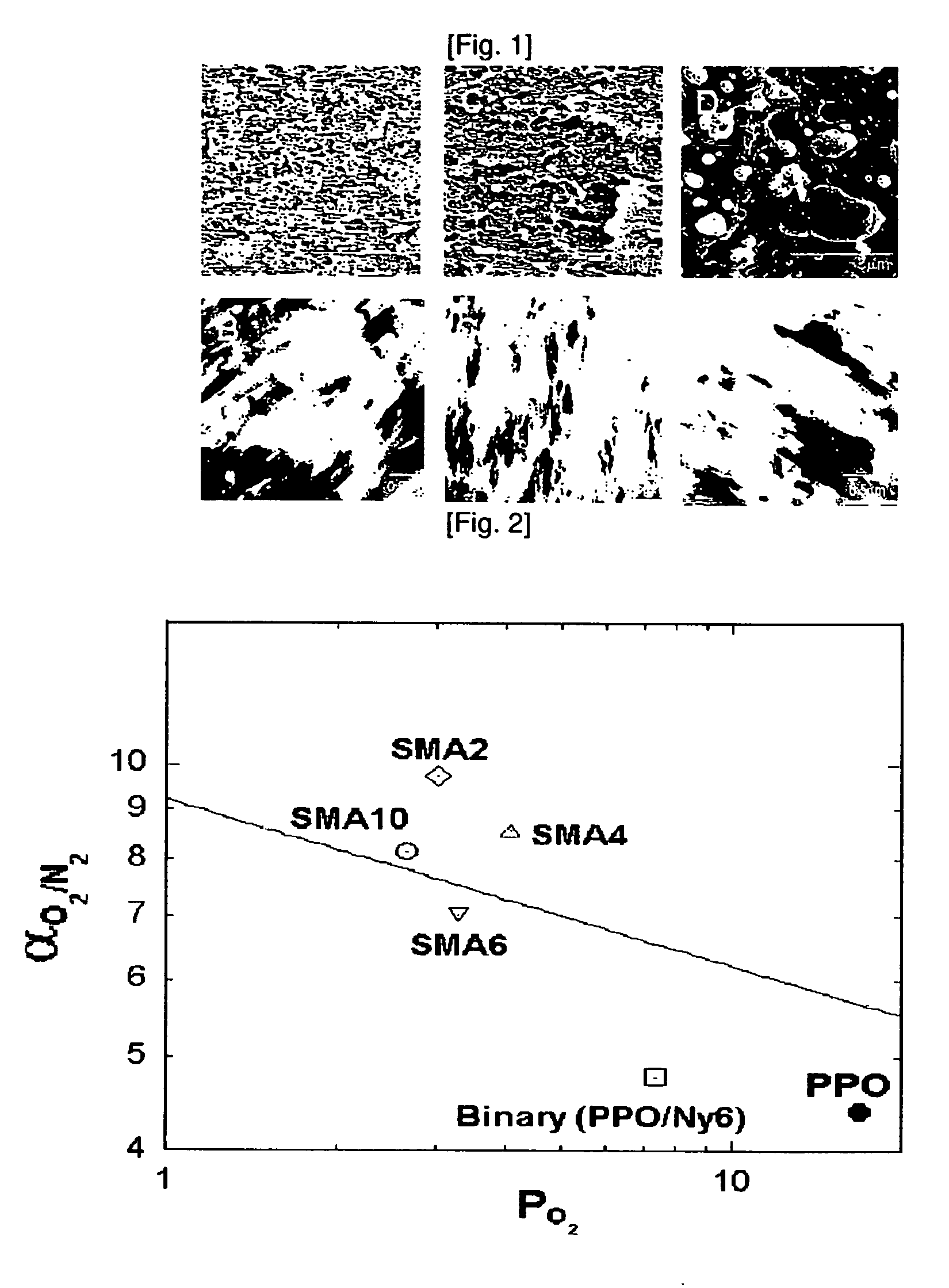 Polymeric composite separation membrane