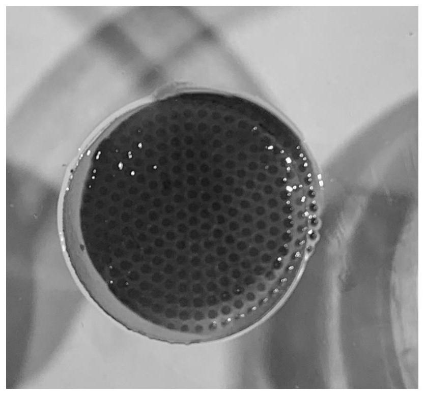 Photo-crosslinking/electrostatic spinning preparation and application of hydrogel composite scaffold with double-layer skin structure