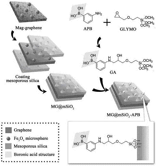 Pretreatment method for detecting aminoglycoside antibiotic residues in milk