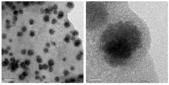 Pretreatment method for detecting aminoglycoside antibiotic residues in milk