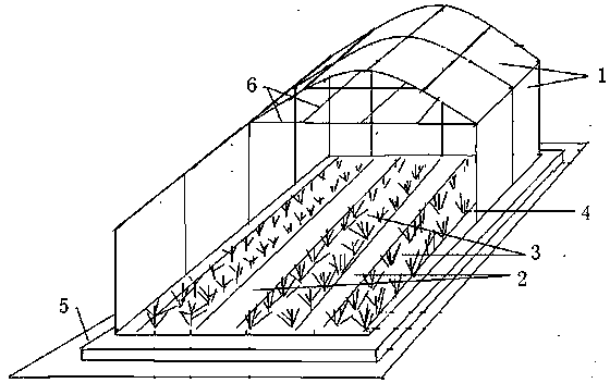 Breeding method of tussah silkworm