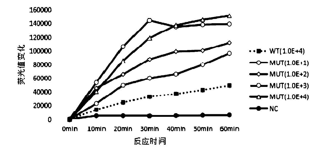 Detection kit and detection method for gene mutation of lung cancer-related molecular markers