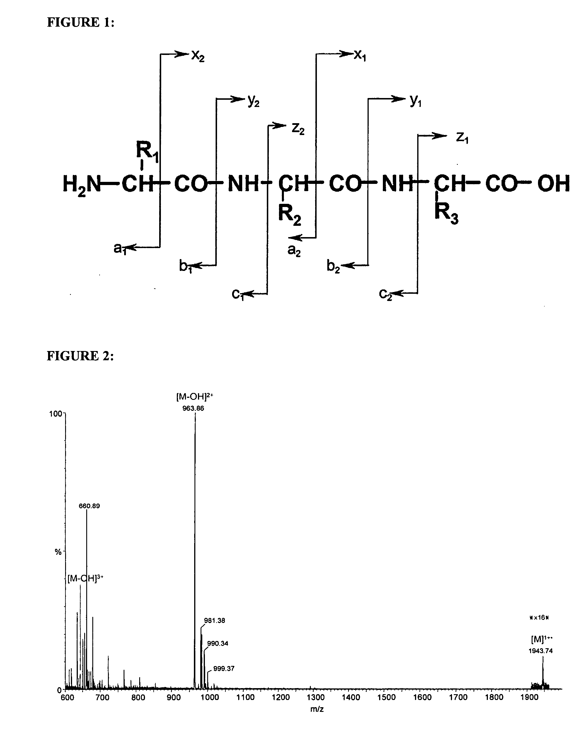 Peptide mass spectrometry rich in daughter ions