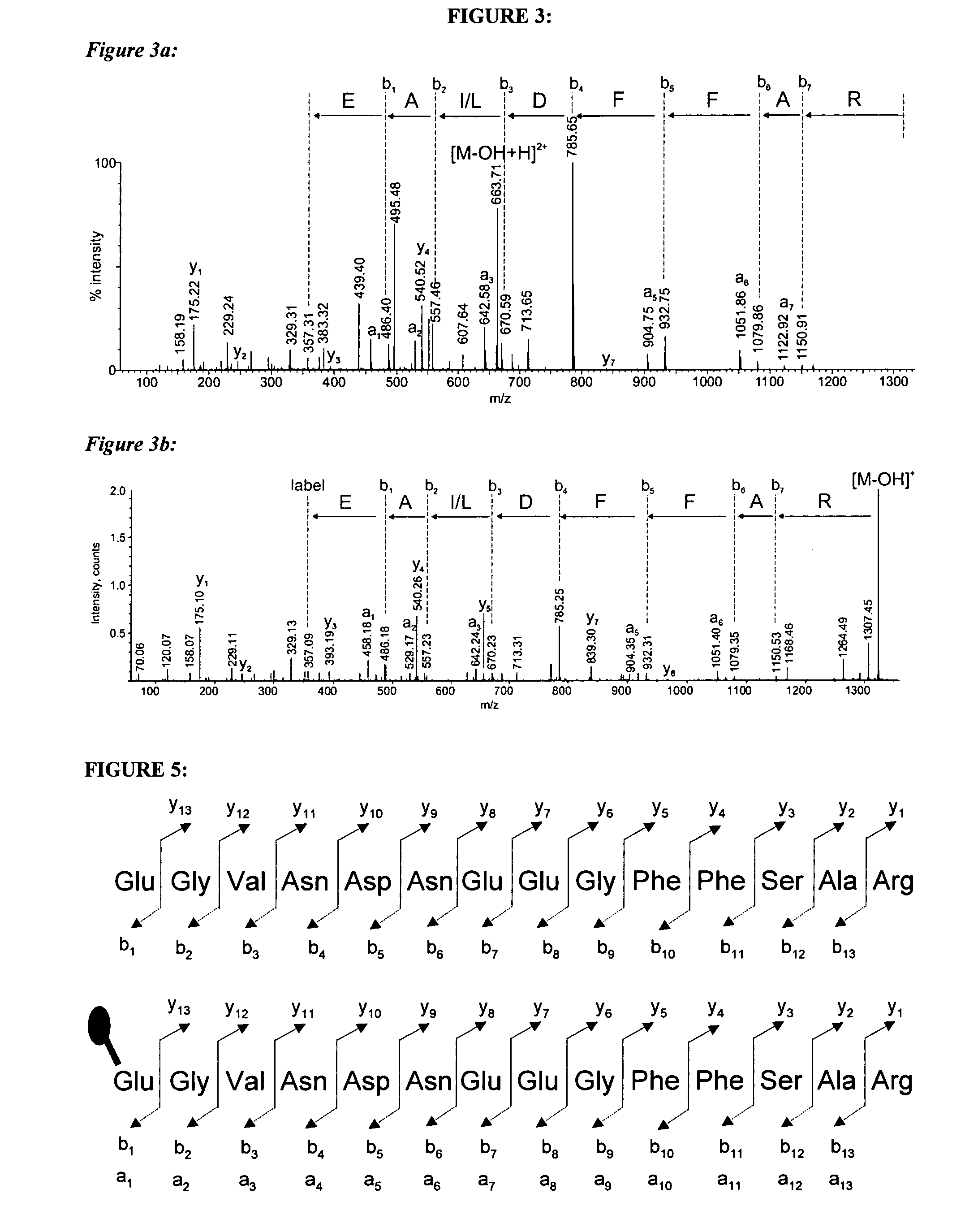 Peptide mass spectrometry rich in daughter ions