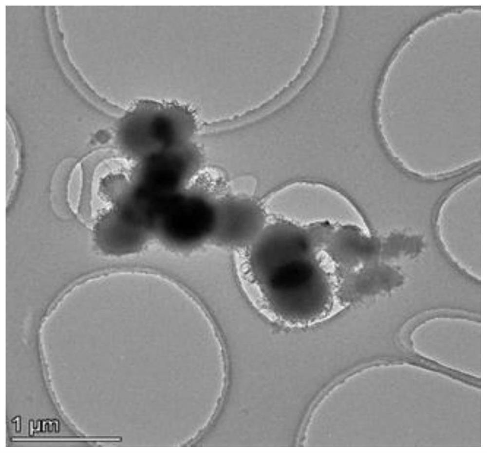 a namno  <sub>2</sub> @ni  <sub>2</sub> o  <sub>3</sub> Composite material and its preparation method and application in sodium ion battery