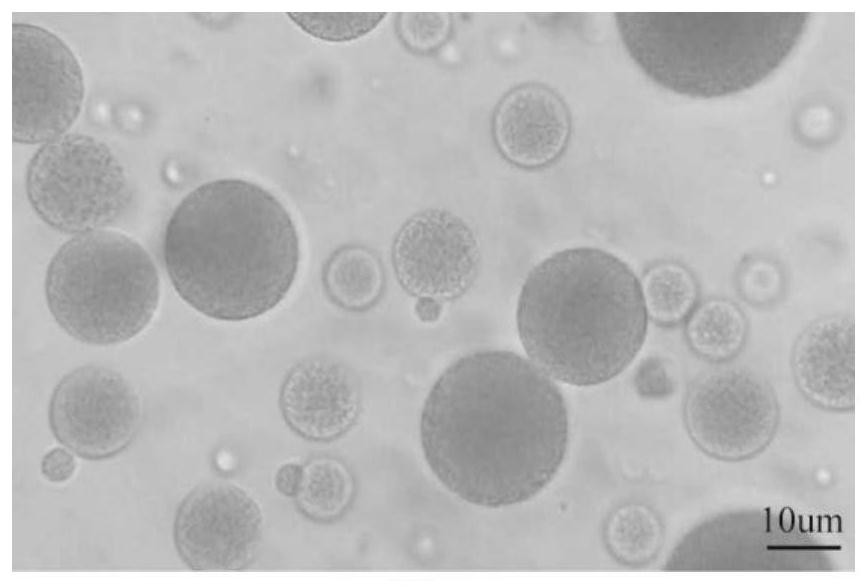 A kind of liraglutide multivesicular liposome and its preparation method and application