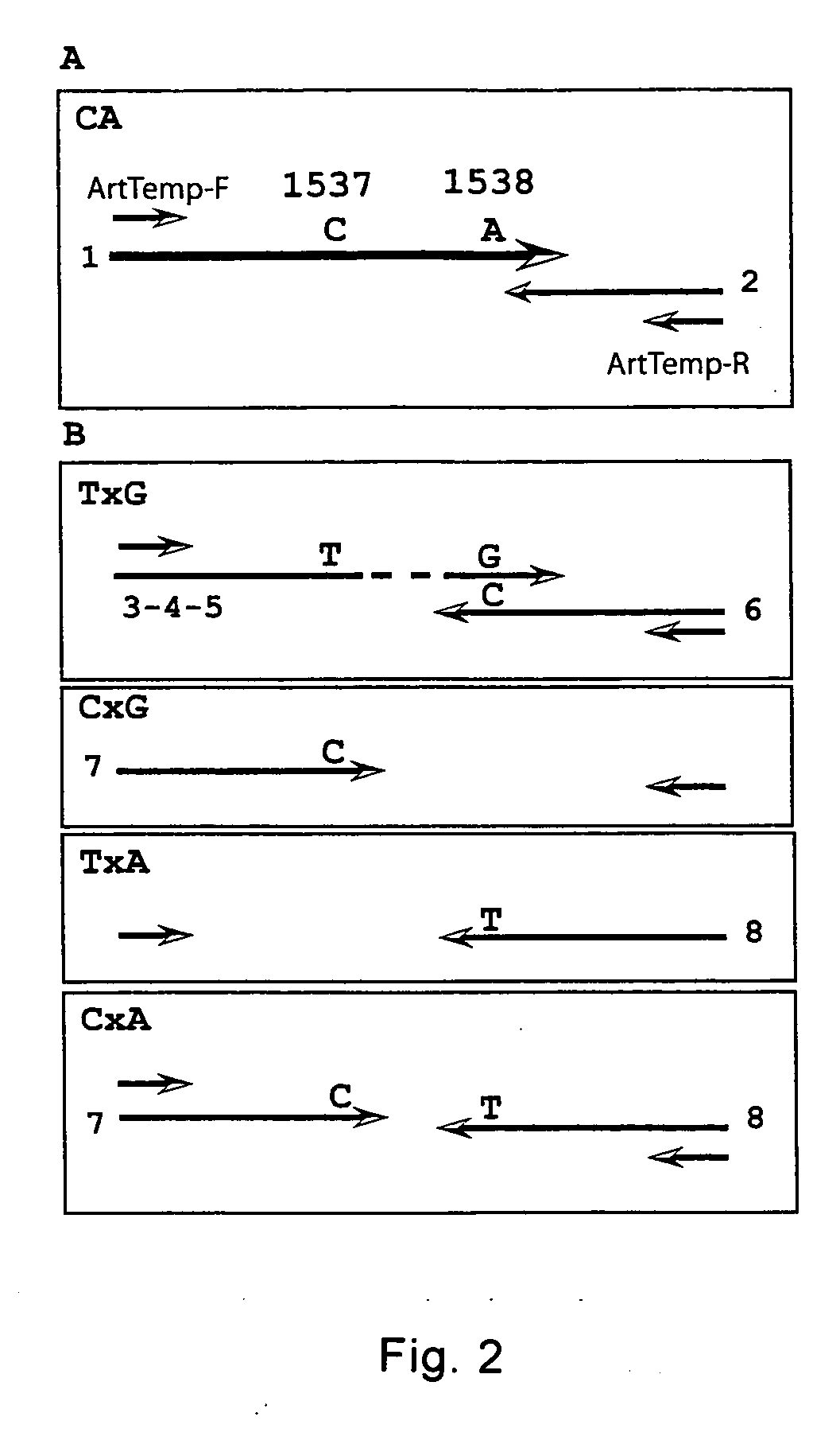 Method for haplotyping and genotyping by melting curve analysis of hybridization probes