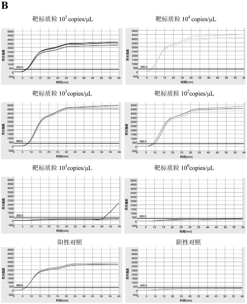 Primers and kit for efficient triple detection of SVCV, IHNV and CEV