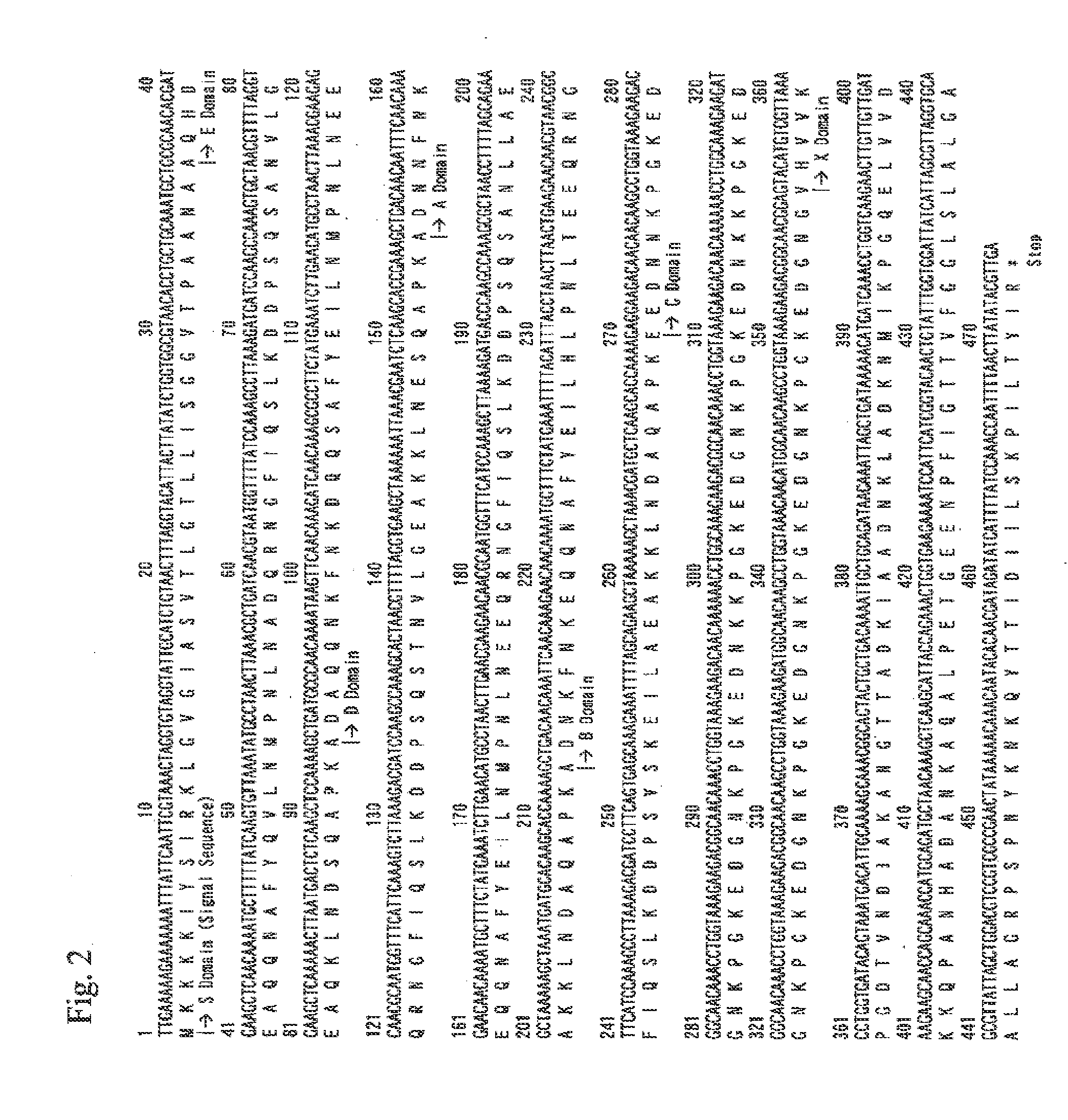 Process for producing protein a-like protein with use of brevibacillus genus bacterium