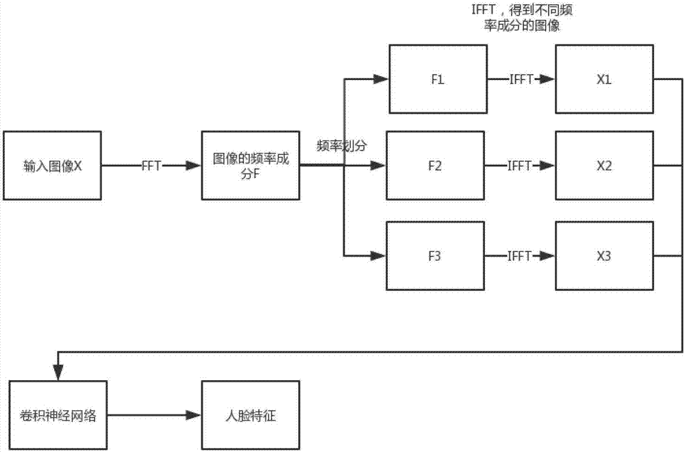 Face feature identification method and system based on frequency domain division