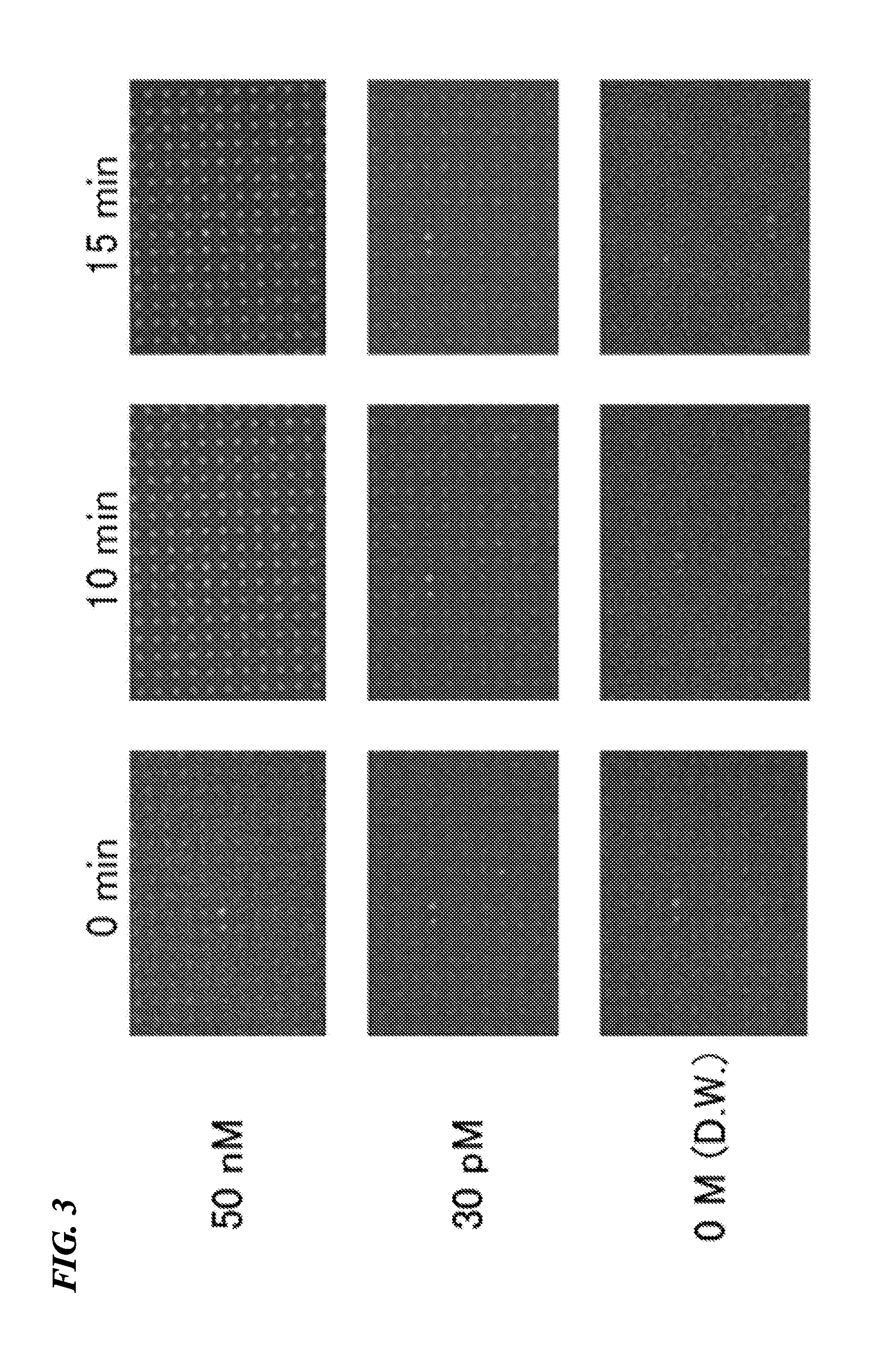 Biomolecule analysis kit and biomolecule analysis method