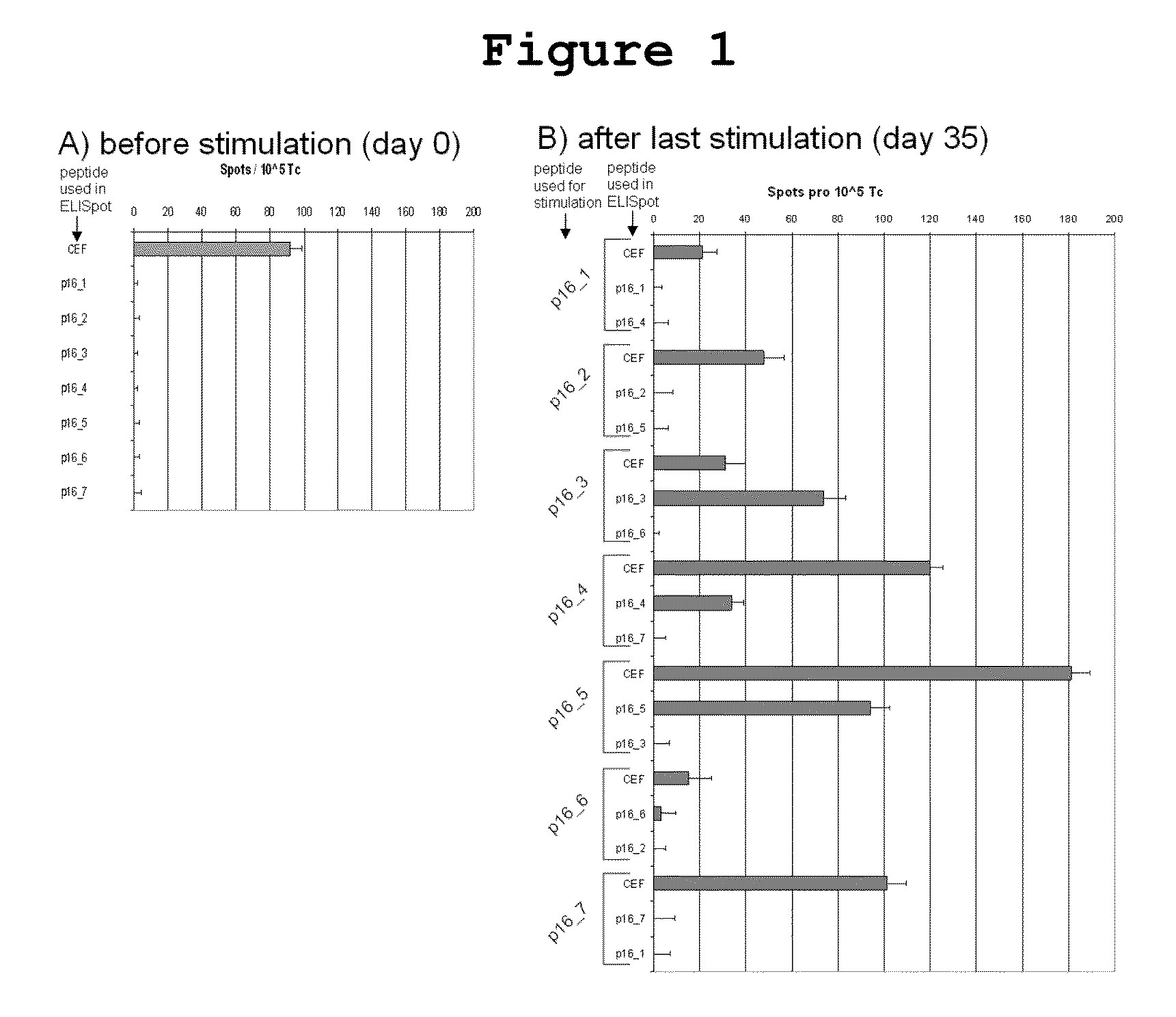 P16<sup>INK4A </sup>derived peptides for prophylaxis and therapy of HPV-associated tumors and other P16<sup>INK4A </sup>expressing tumors